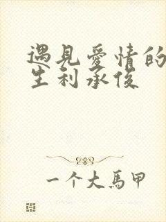 遇见爱情的利先生利承俊
