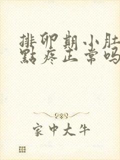 排卵期小肚子有点疼正常吗封面