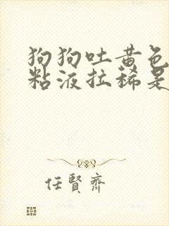 狗狗吐黄色泡沫粘液拉稀是什么原因