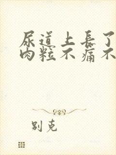 尿道上长了个小肉粒不痛不痒