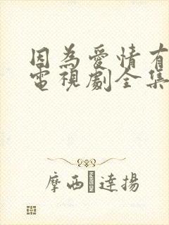 因为爱情有多美电视剧全集封面