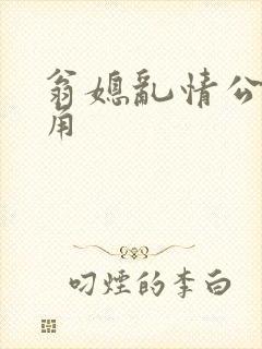 翁媳乱情公公视角封面