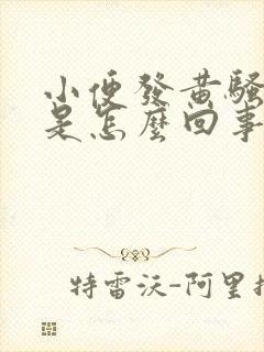 小便发黄骚味重是怎么回事