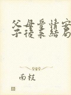 父母爱情安杰侄子后来结局