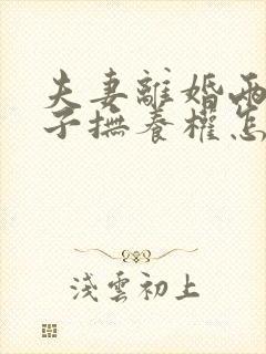 夫妻离婚两个儿子抚养权怎么判定