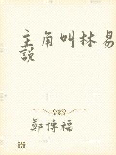 主角叫林易的小说