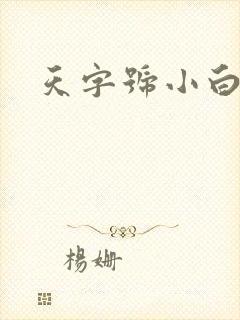 天字号小白脸
