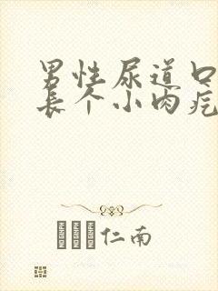 男性尿道口里面长个小肉疙瘩是怎么回事