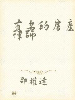 有名的房产纠纷律师封面