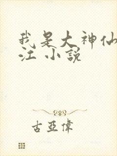 我是大神仙 时江 小说