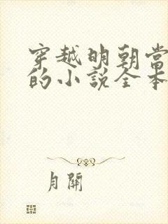 穿越明朝当皇帝的小说全本