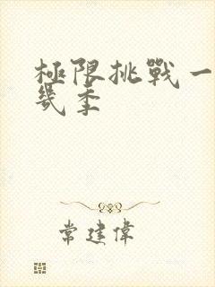 极限挑战一共有几季