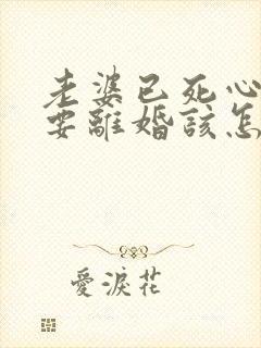 老婆已死心坚持要离婚该怎么挽回封面