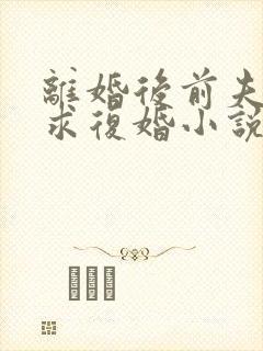 离婚后前夫哭着求复婚小说完整版