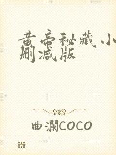 黄帝秘藏小说无删减版