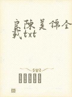 良陈美锦全本下载txt