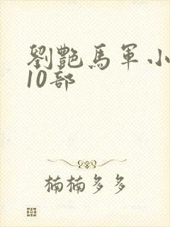 刘艳马军小说第10部
