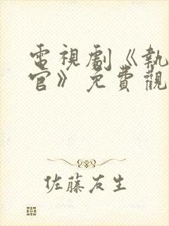 电视剧《执行法官》免费观看