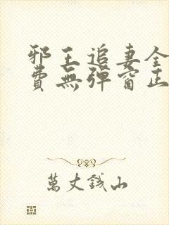 邪王追妻全文免费无弹窗正版