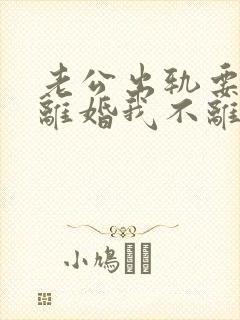 老公出轨要和我离婚我不离我应该怎样做封面