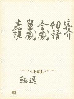 老舅全40集电视剧剧情介绍