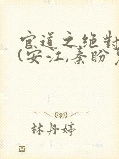 官道之绝对权力(安江,秦盼儿)