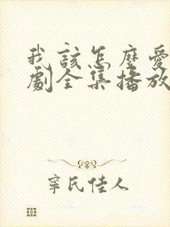 我该怎么爱你短剧全集播放