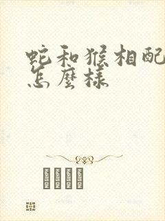 蛇和猴相配婚姻怎么样