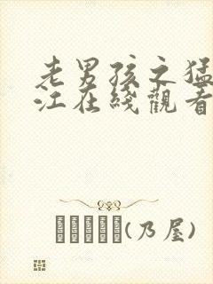 老男孩之猛龙过江在线观看高清封面