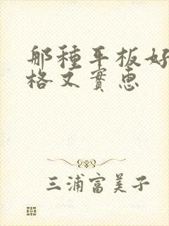 那种平板好用价格又实惠