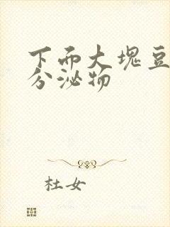 下面大块豆腐渣分泌物