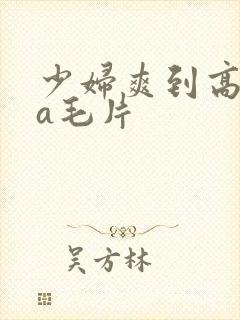 少妇爽到高潮的a毛片