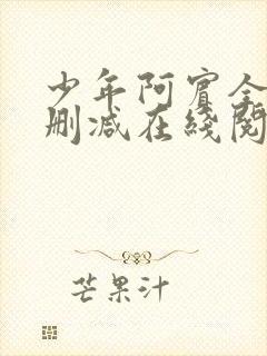 少年阿宾全文无删减在线阅读