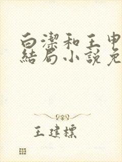 白洁和王申高义结局小说免费阅读全文下载