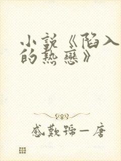 小说《陷入我们的热恋》