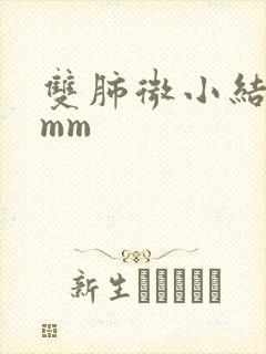 双肺微小结节4mm