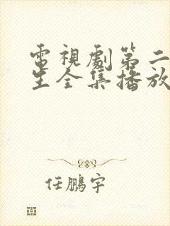 电视剧第二次人生全集播放封面