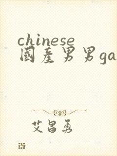 chinese国产男男gaygay网站