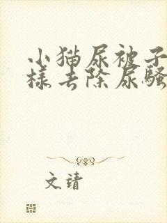 小猫尿被子上怎样去除尿骚味