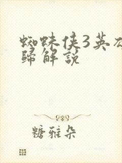 蜘蛛侠3英雄无归解说