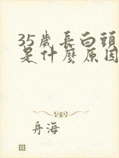 35岁长白头发是什么原因