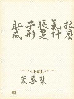 肚子胀气拉屎不成形是什么原因封面