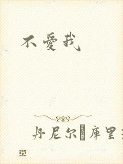 不爱我