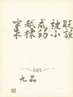 穿越成被贬皇子朱棣的小说封面