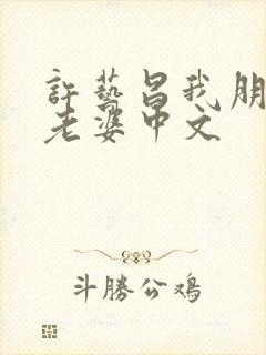 许艺昌我朋友的老婆中文封面