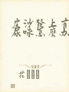 皮沙发上有狗狗尿味怎么办