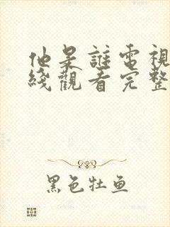 他是谁电视剧在线观看完整版免费观看