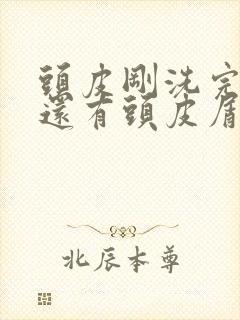 头皮刚洗完就痒还有头皮屑是怎么回事封面