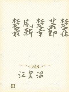 楚风楚芸楚鸿飞最新章节在线阅读