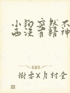 小狗突然不吃东西没有精神怎么办